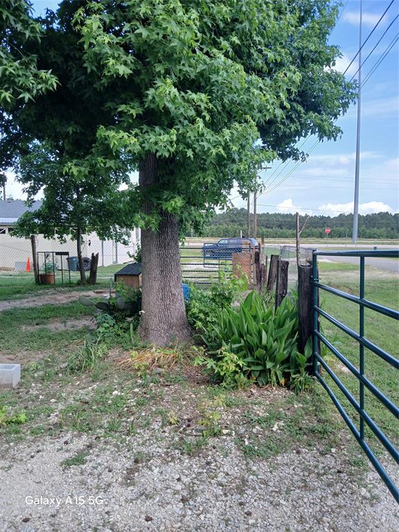 171 Broken Bough Street, Shepherd, Texas image 7