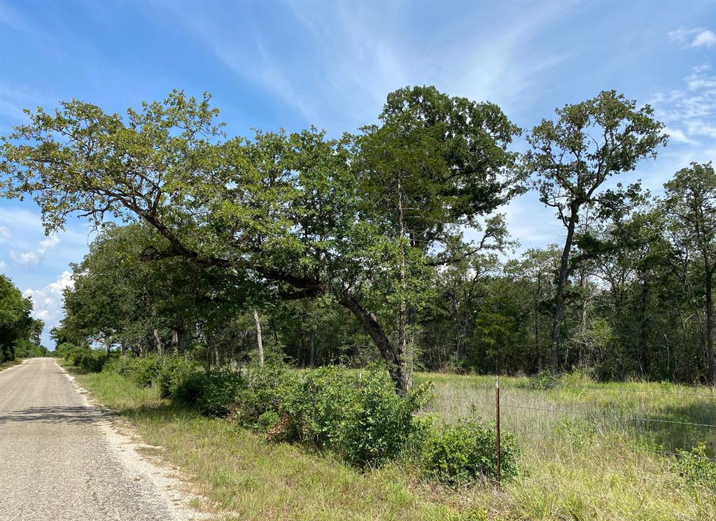 TBD High Crossing Road - Tract 9, Smithville, Texas image 11