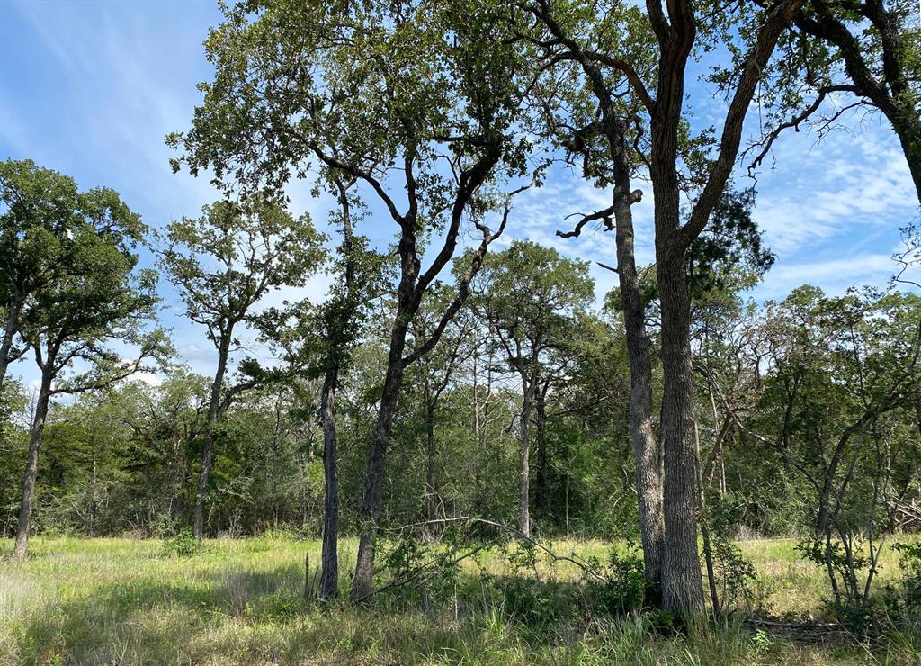 TBD High Crossing Road - Tract 9, Smithville, Texas image 9