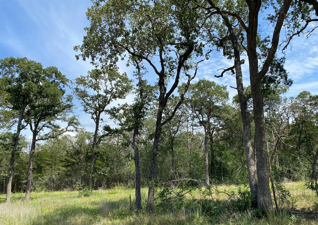 TBD High Crossing Road - Tract 9, Smithville, Texas image 10