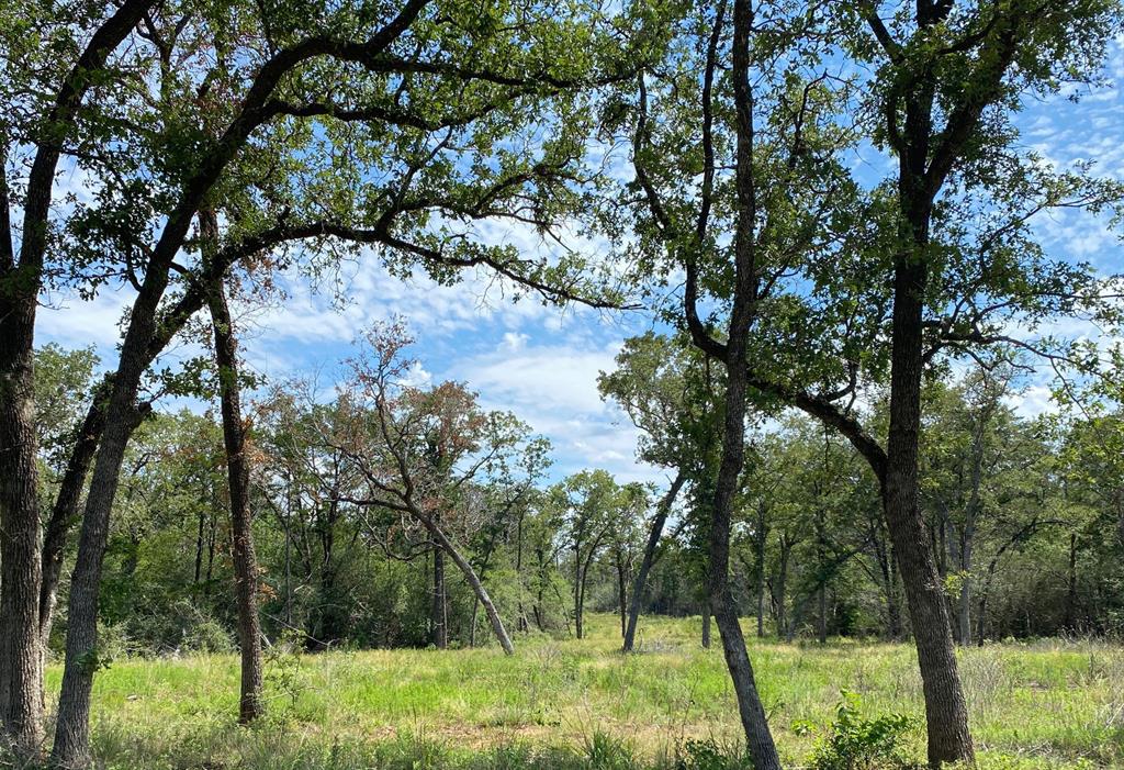 TBD High Crossing Road - Tract 9, Smithville, Texas image 8