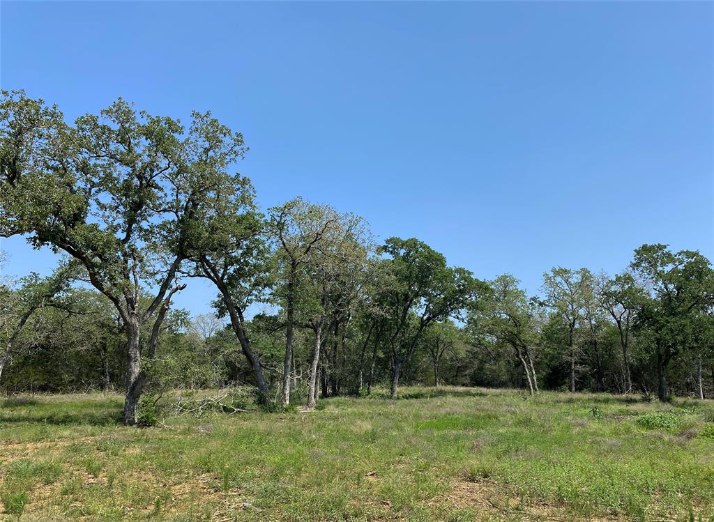 TBD High Crossing Road - Tract 9, Smithville, Texas image 2