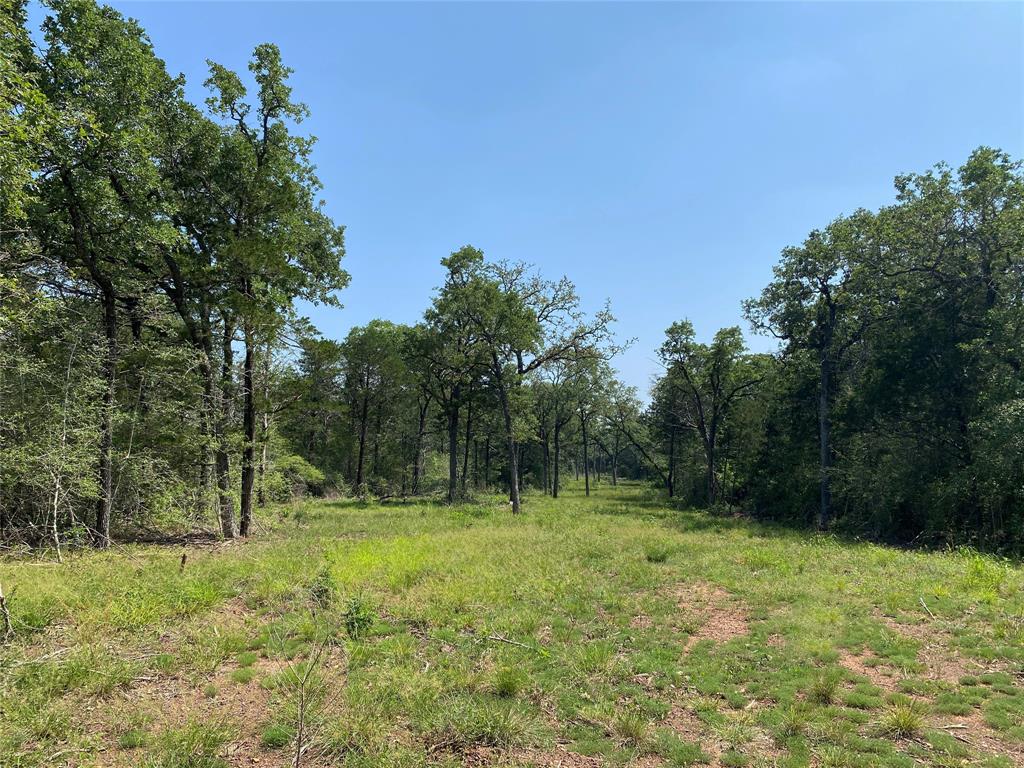 TBD High Crossing Road - Tract 9, Smithville, Texas image 7