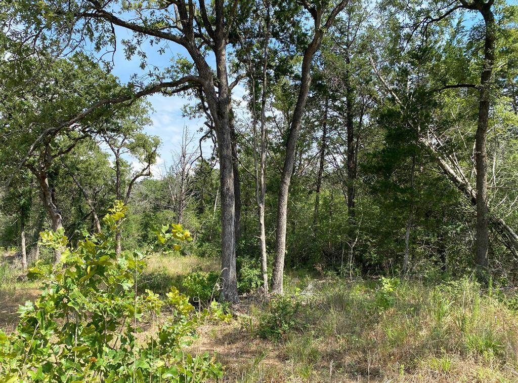 TBD High Crossing Road - Tract 9, Smithville, Texas image 1