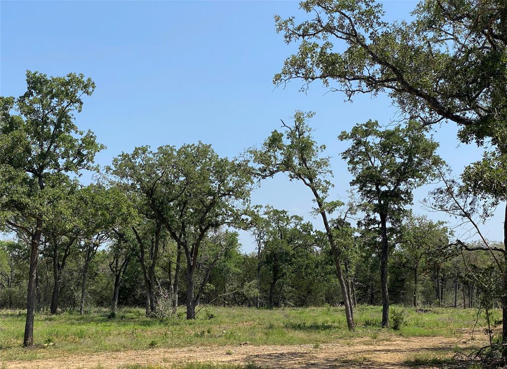 TBD High Crossing Road - Tract 9, Smithville, Texas image 5