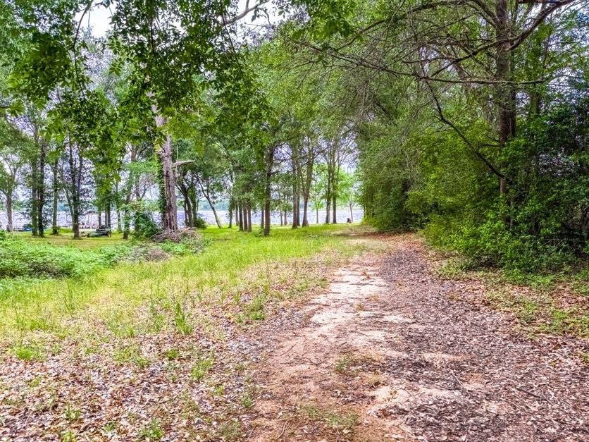 TBD County Road 891, Jewett, Texas image 6