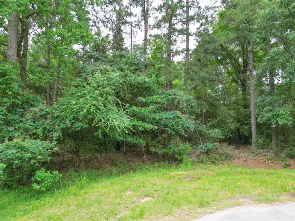 Lot 18 And 19 Block 9 Westwood 4, Magnolia, Texas image 9