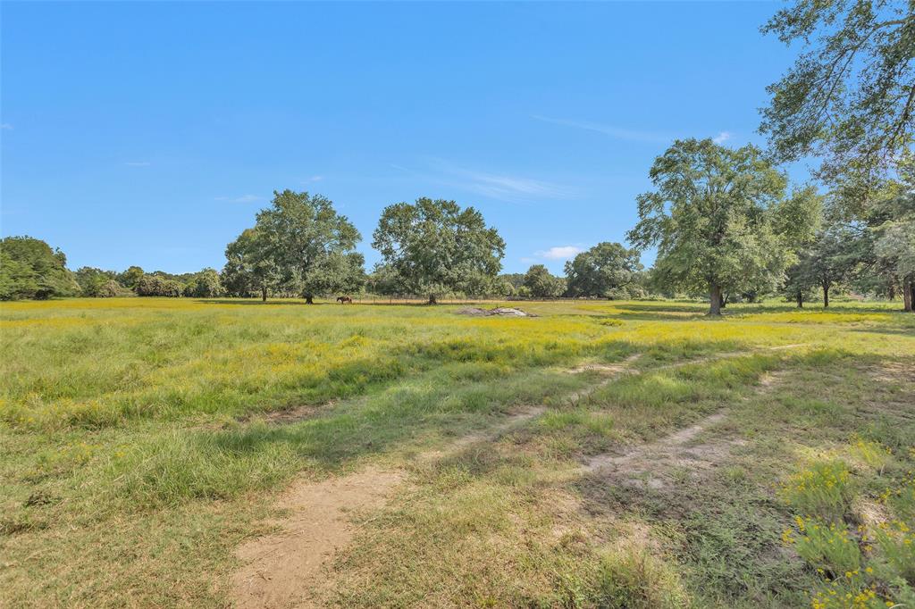 9079 County Road 120, Centerville, Texas image 43