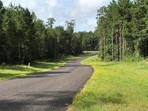 Dipping Vat Road, New Waverly, Texas image 10