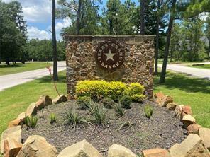 Dipping Vat Road, New Waverly, Texas image 14