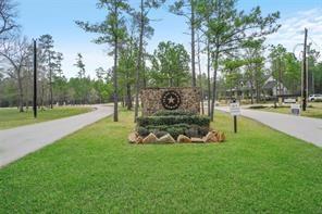 Dipping Vat Road, New Waverly, Texas image 2