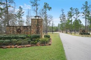 Dipping Vat Road, New Waverly, Texas image 1