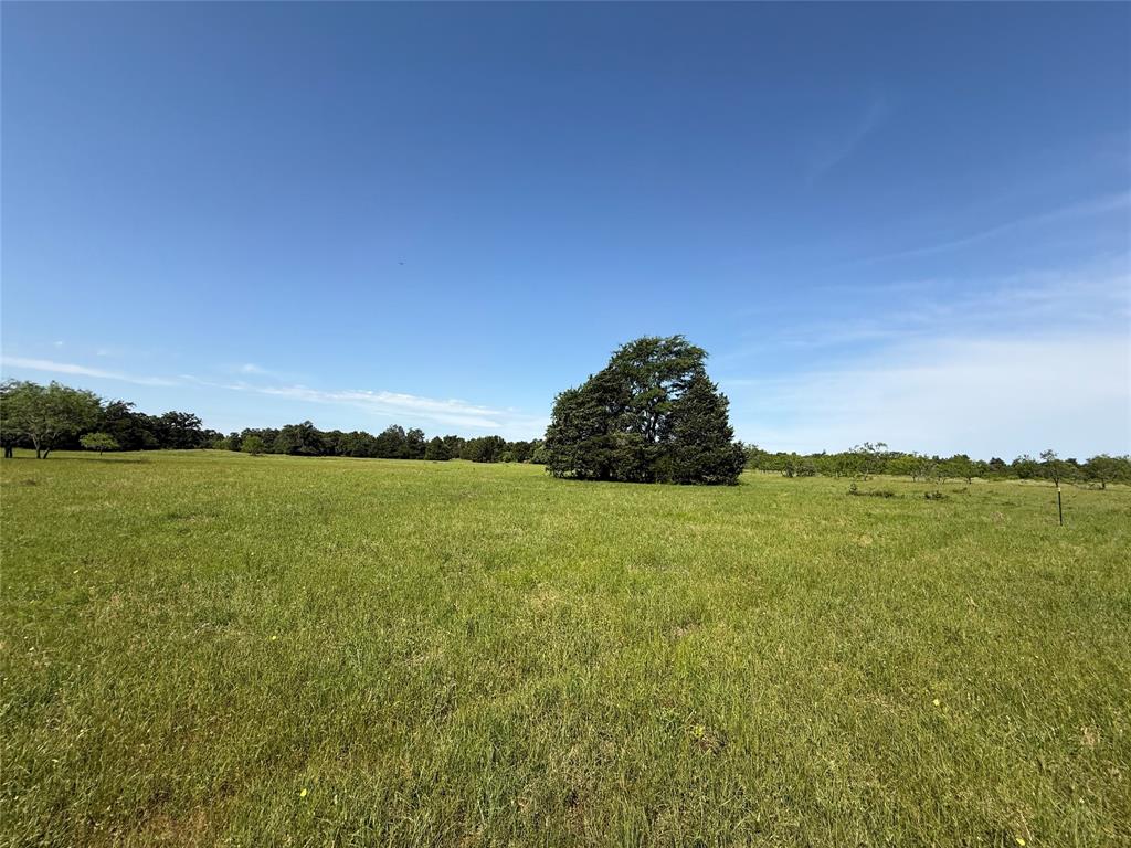 Tract 8 Fcr 611, Teague, Texas image 6