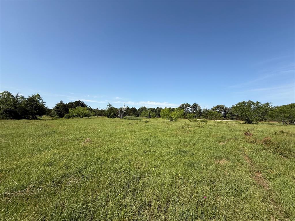 Tract 8 Fcr 611, Teague, Texas image 9
