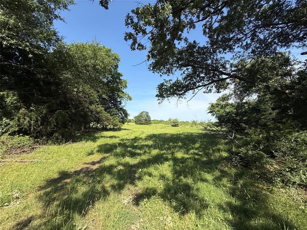 Tract 8 Fcr 611, Teague, Texas image 1