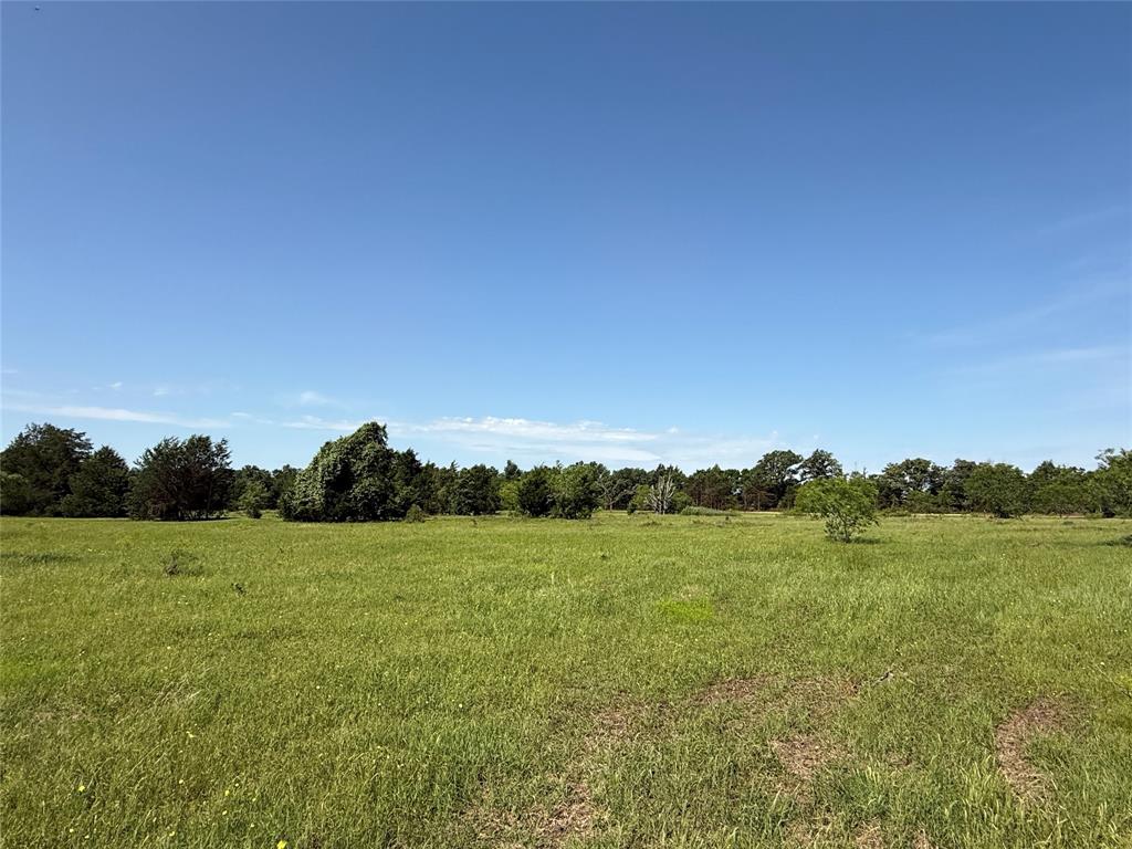 Tract 8 Fcr 611, Teague, Texas image 8