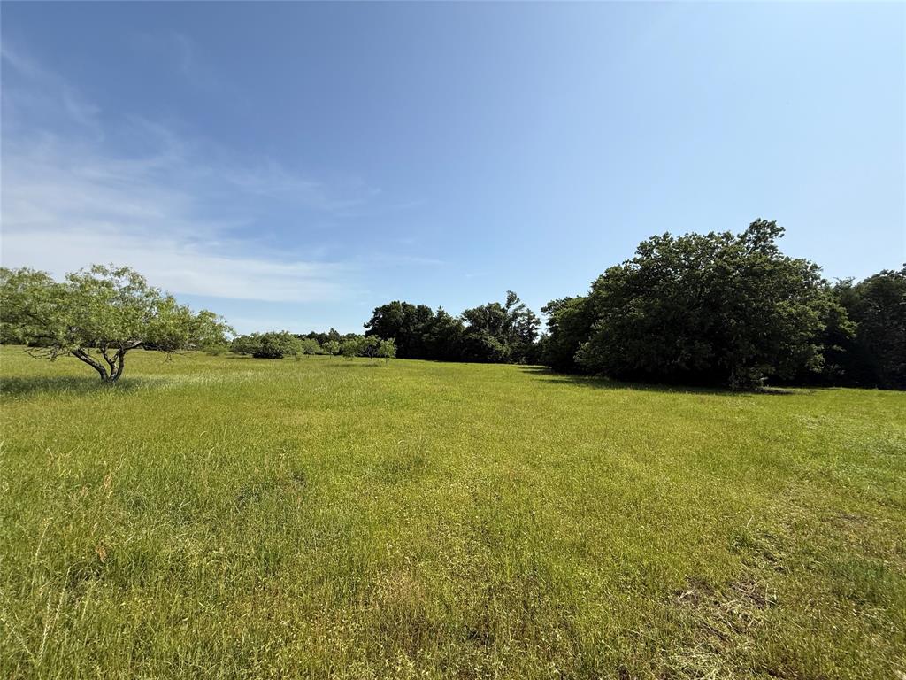 Tract 8 Fcr 611, Teague, Texas image 4