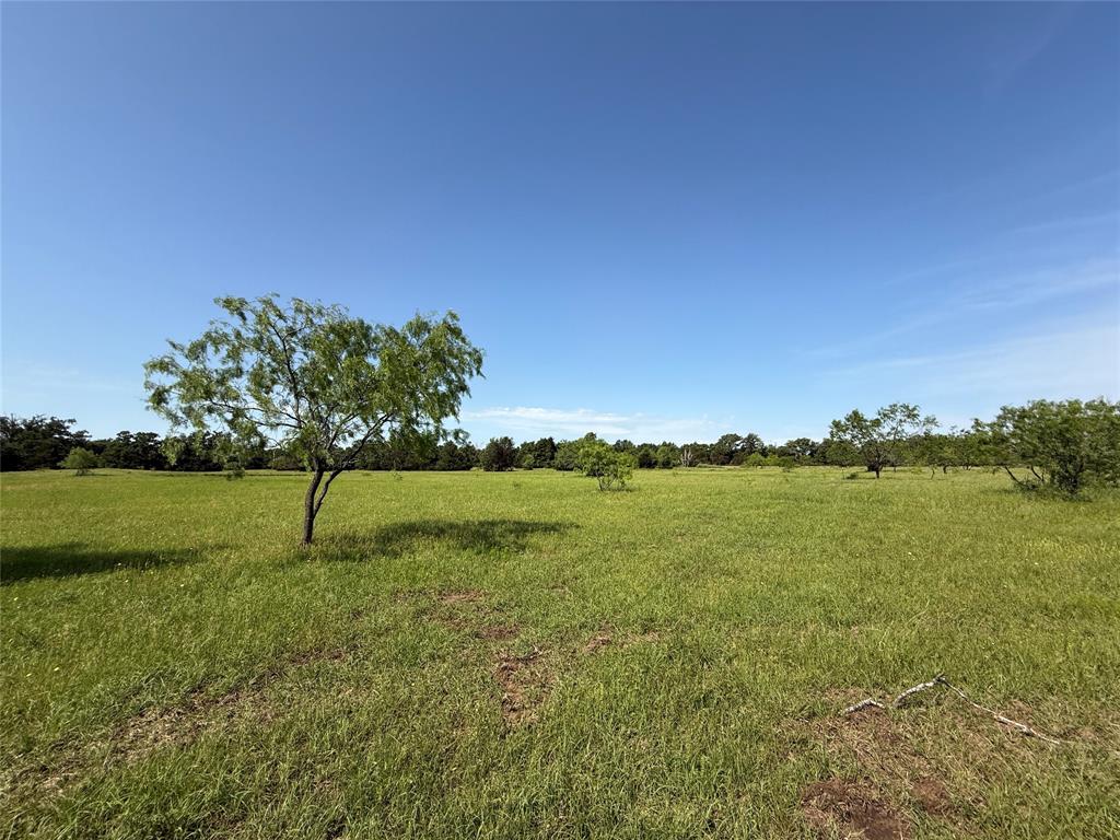 Tract 8 Fcr 611, Teague, Texas image 7