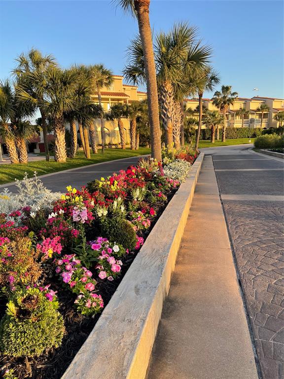11 Dana Drive, Galveston, Texas image 2