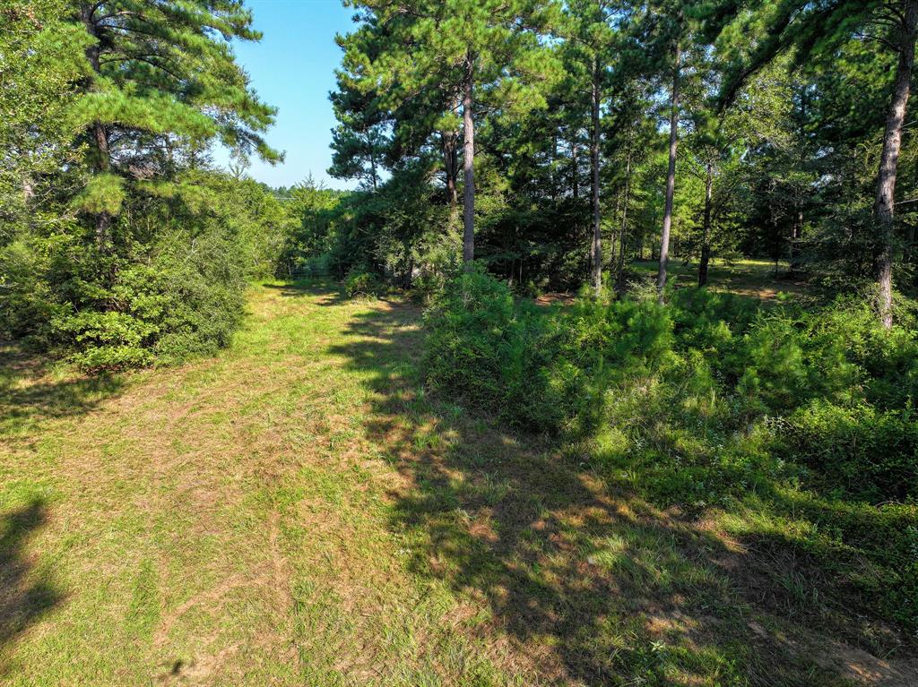 4884 County Road 1050, Crockett, Texas image 30