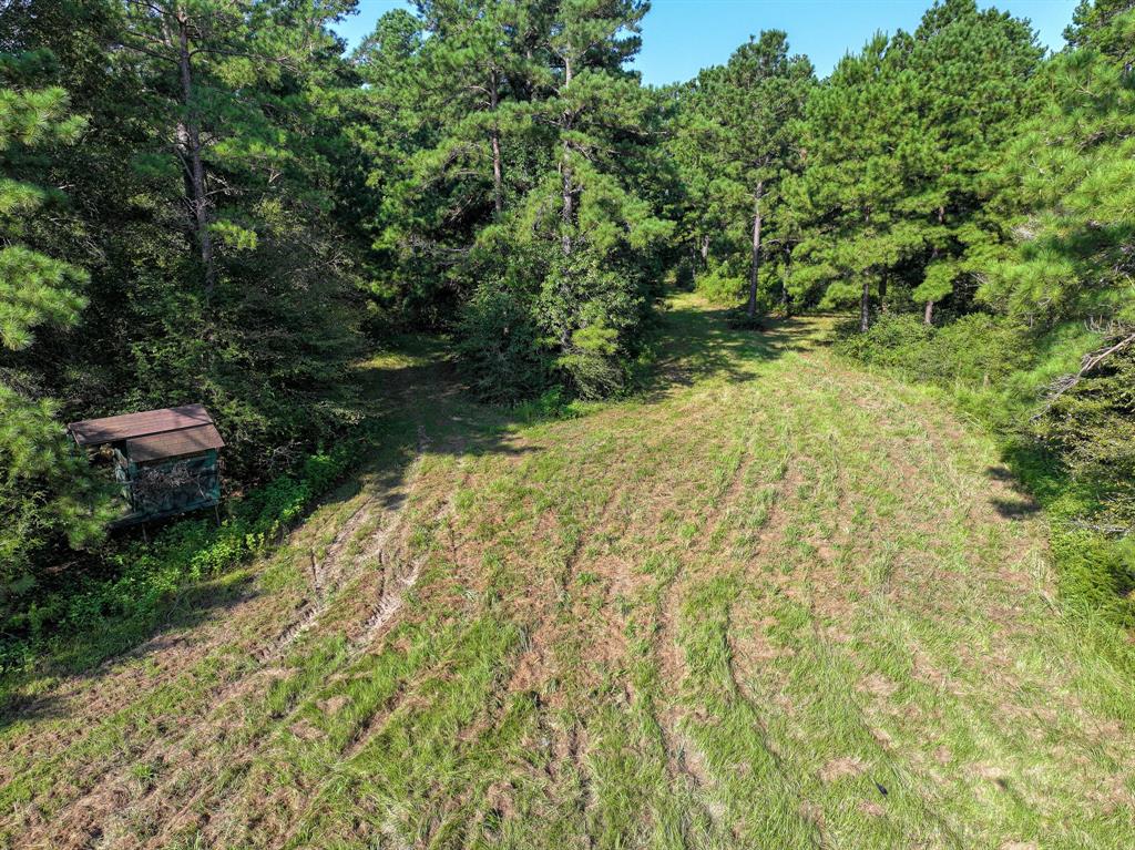 4884 County Road 1050, Crockett, Texas image 26