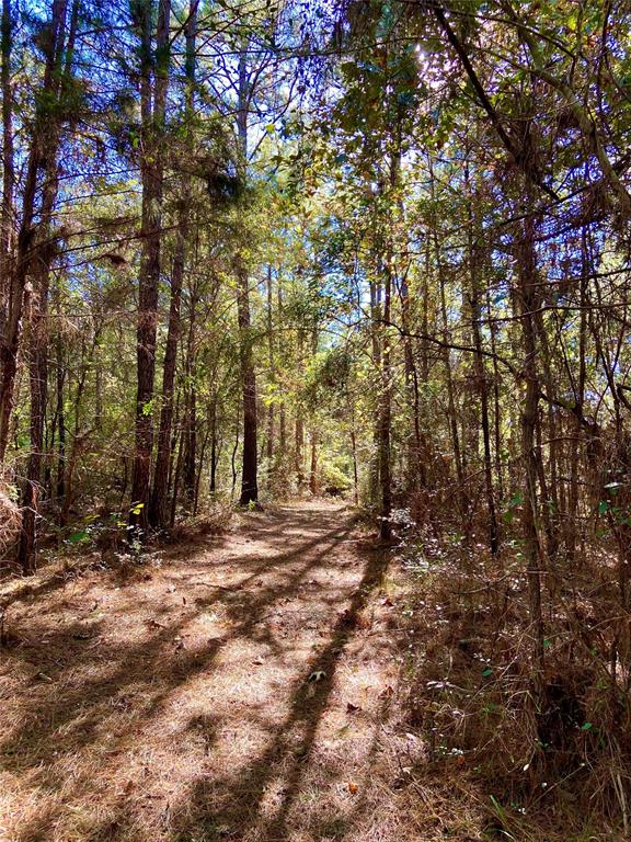 4884 County Road 1050, Crockett, Texas image 6