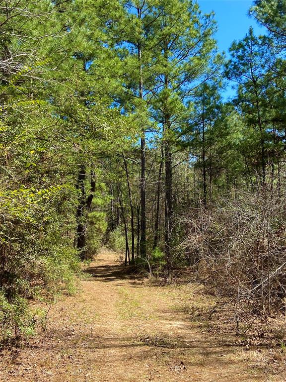 4884 County Road 1050, Crockett, Texas image 8