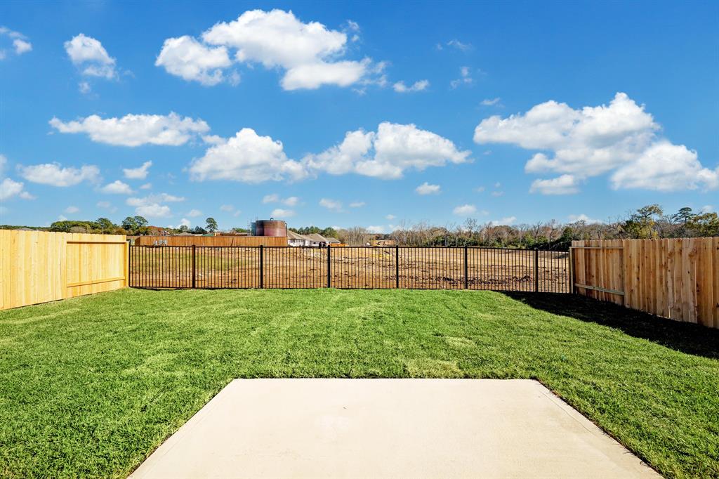 12260 Lady Eli Drive, Willis, Texas image 29