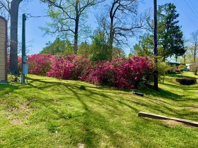 372 Lakeshore Drive, Cleveland, Texas image 16