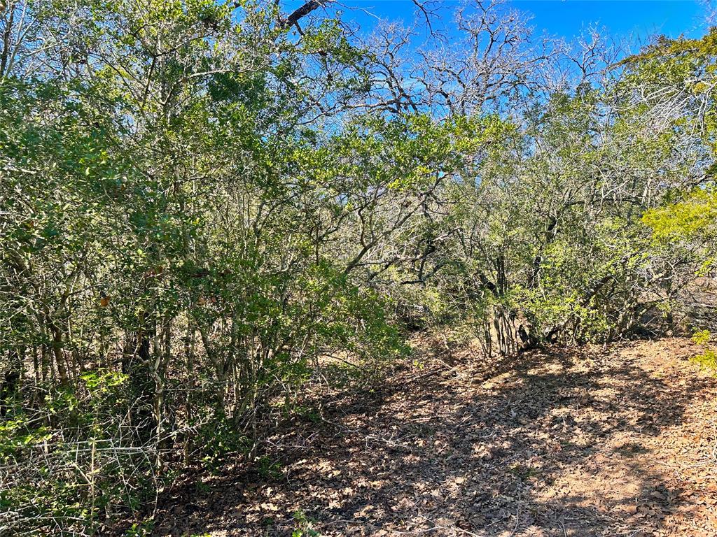 Wood Haven Drive, Waelder, Texas image 8