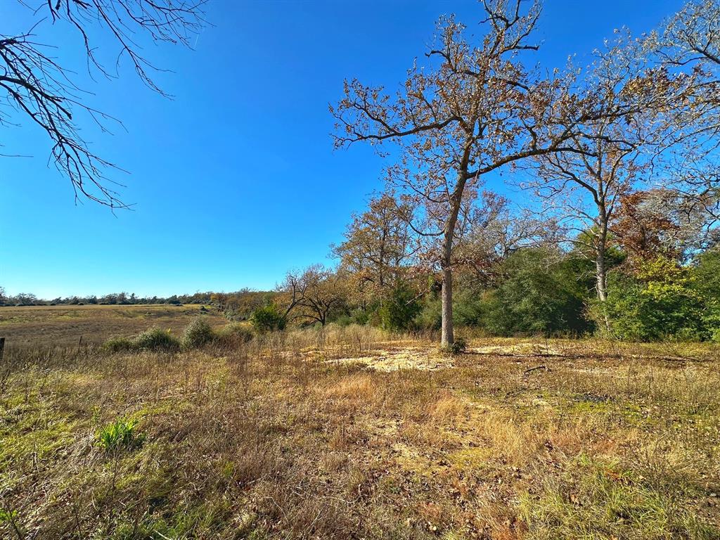 5248 Pr 1310, Centerville, Texas image 2