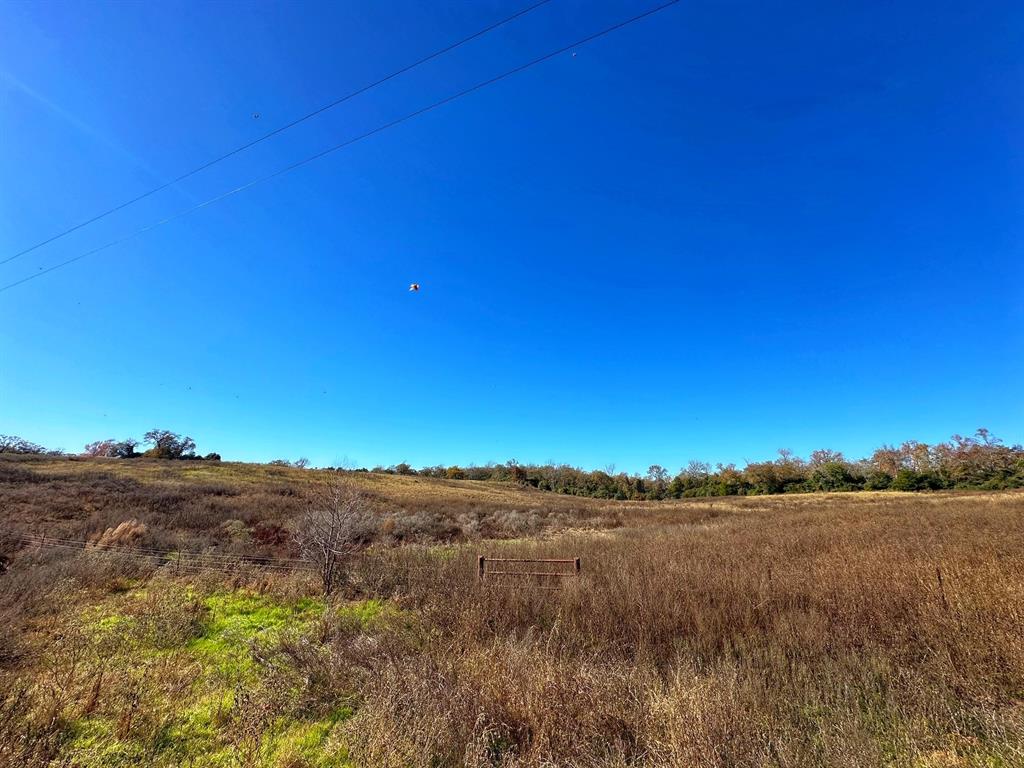 5248 Pr 1310, Centerville, Texas image 11