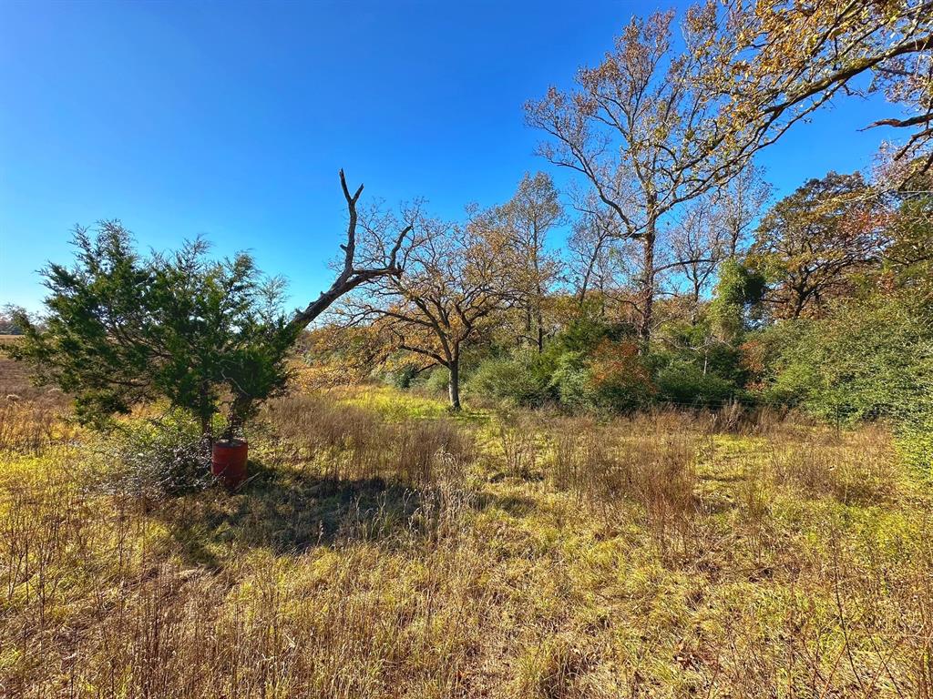 5248 Pr 1310, Centerville, Texas image 8