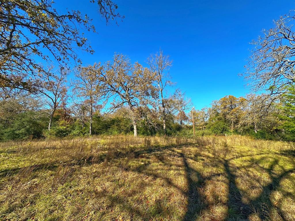 5248 Pr 1310, Centerville, Texas image 3