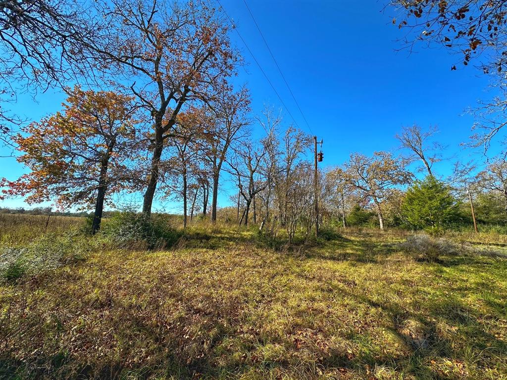 5248 Pr 1310, Centerville, Texas image 1