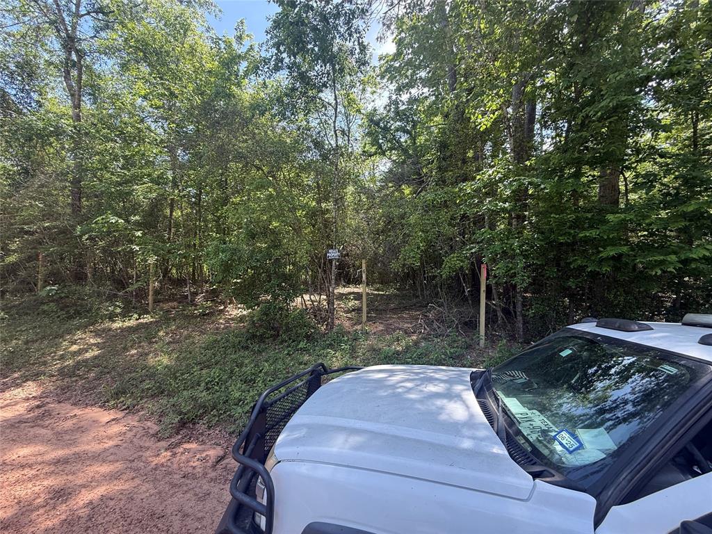 0000 Josephine Road, Livingston, Texas image 2