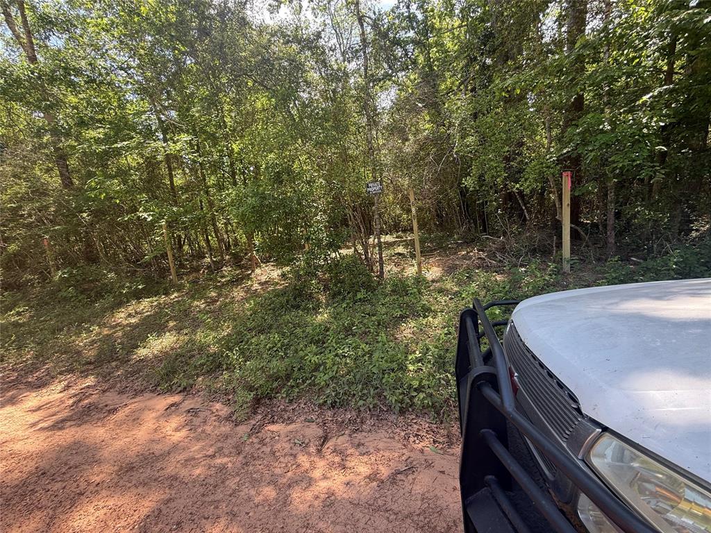 0000 Josephine Road, Livingston, Texas image 1