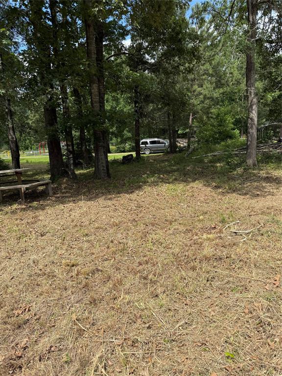 Oak Drive, Coldspring, Texas image 3