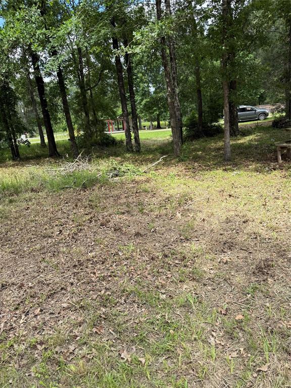 Oak Drive, Coldspring, Texas image 1