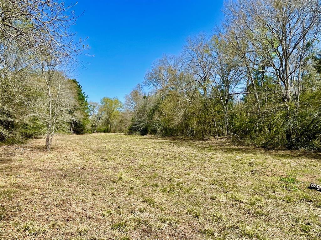 15186 County Road 459, Normangee, Texas image 13
