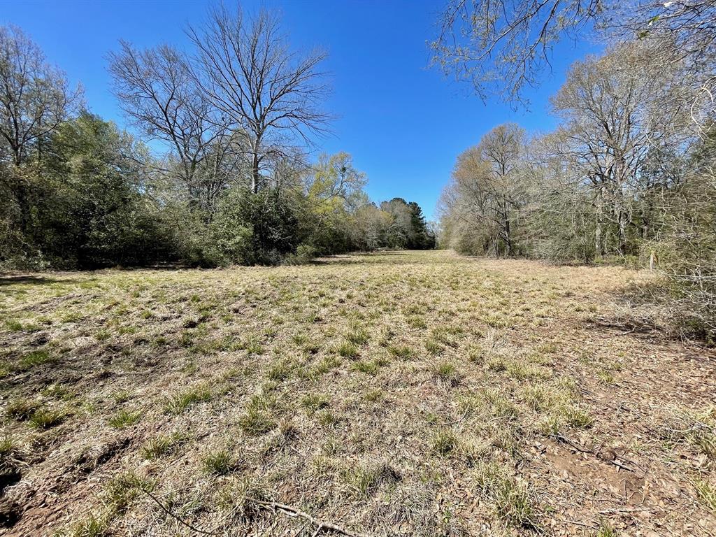 15186 County Road 459, Normangee, Texas image 5