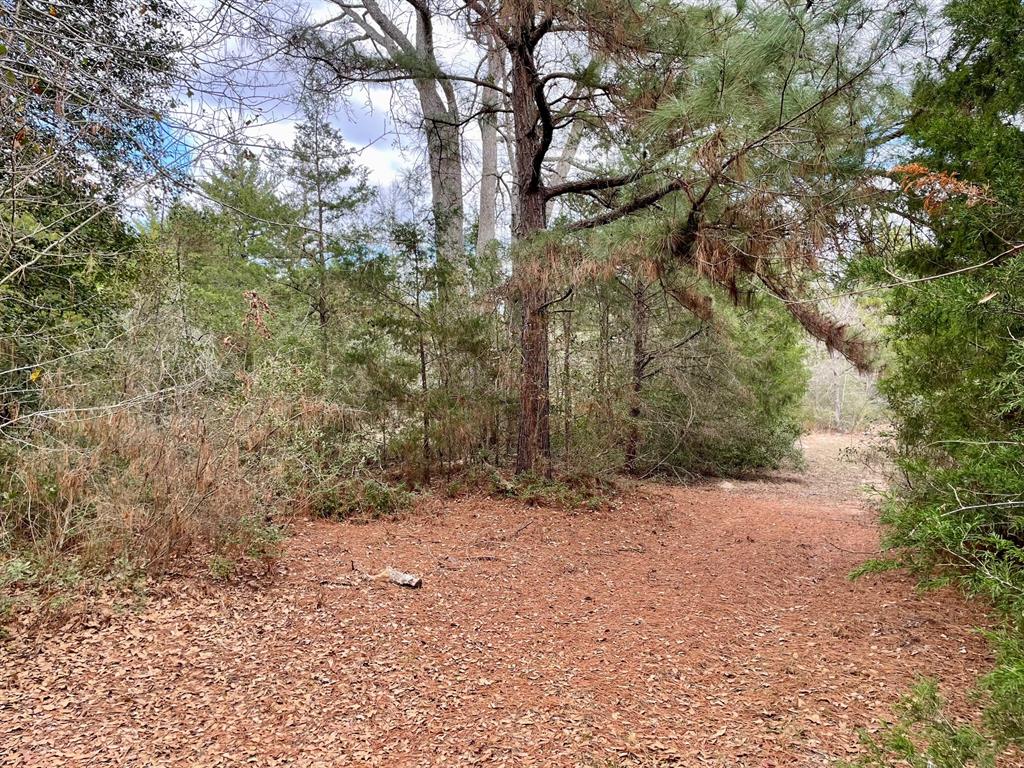 15186 County Road 459, Normangee, Texas image 12