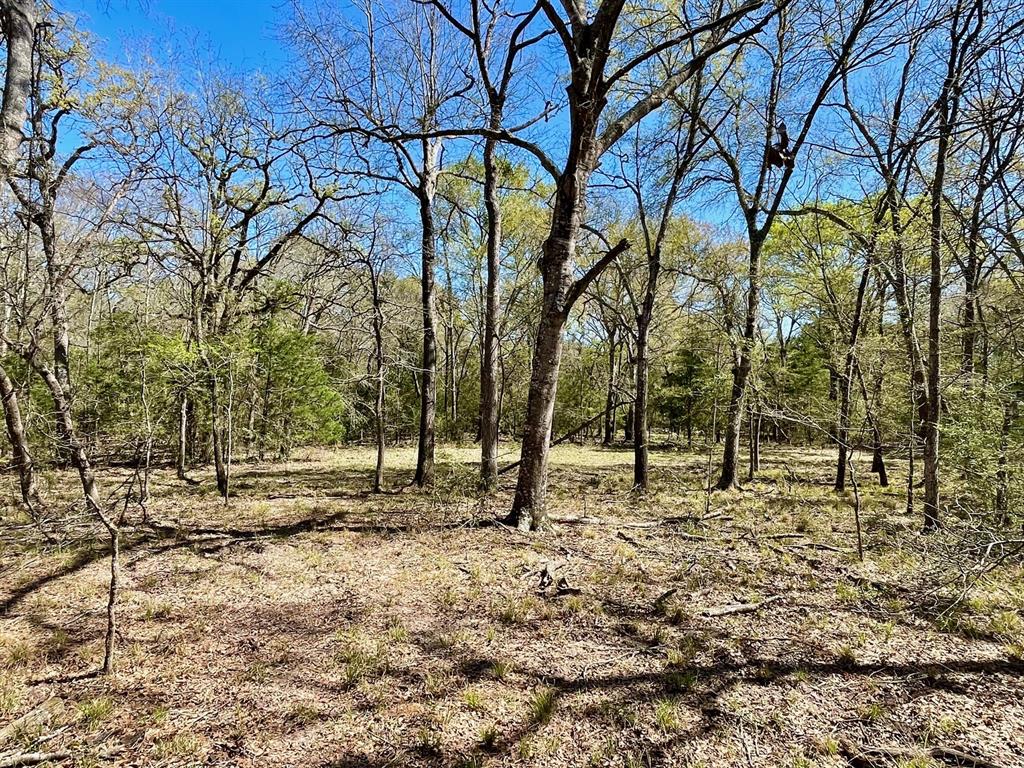 15186 County Road 459, Normangee, Texas image 10