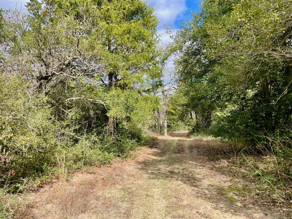 15186 County Road 459, Normangee, Texas image 7