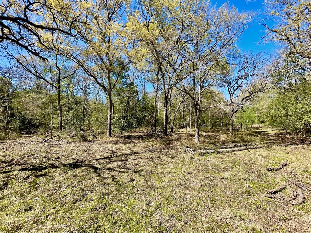 15186 County Road 459, Normangee, Texas image 21