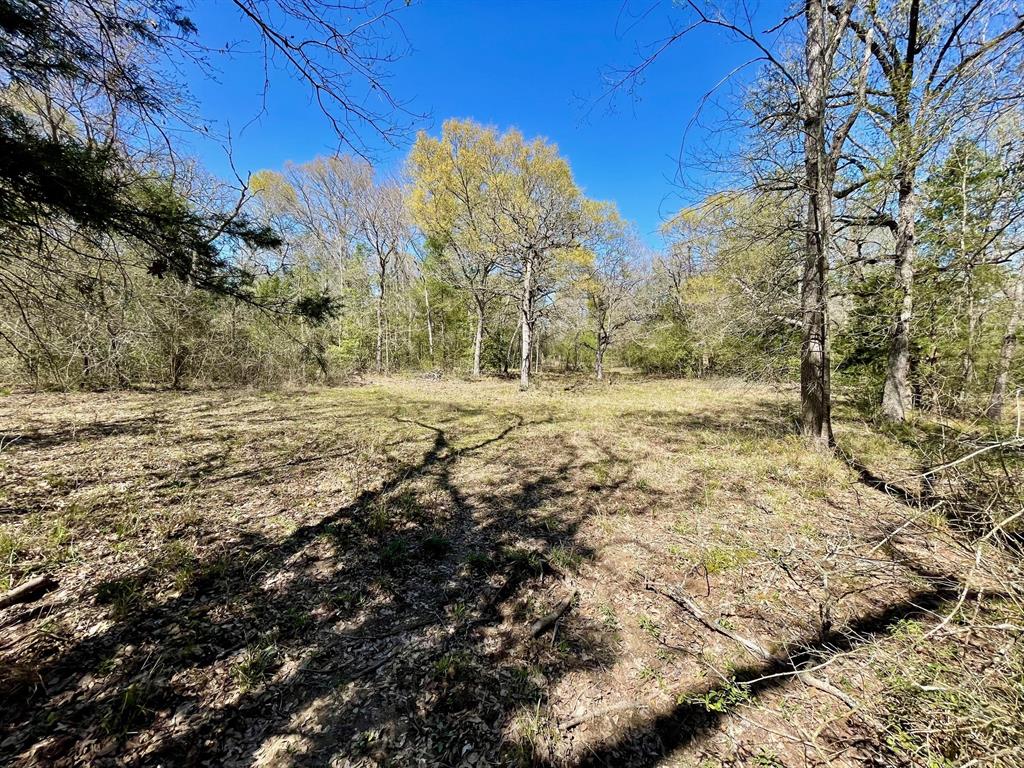 15186 County Road 459, Normangee, Texas image 18