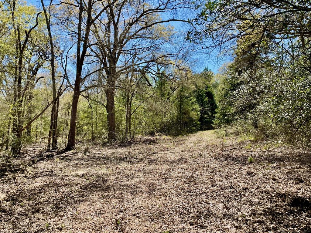 15186 County Road 459, Normangee, Texas image 11