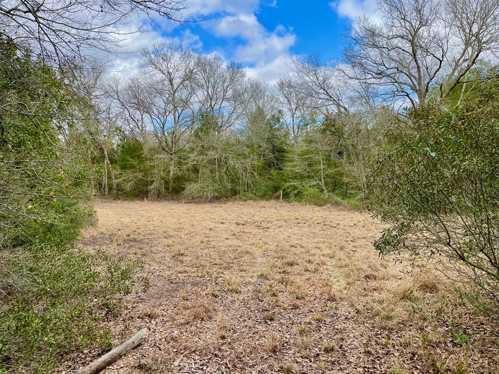 15186 County Road 459, Normangee, Texas image 8