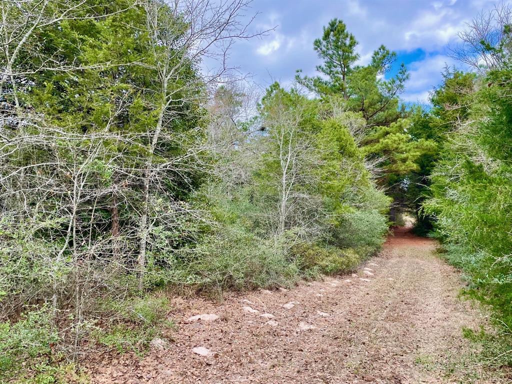 15186 County Road 459, Normangee, Texas image 6