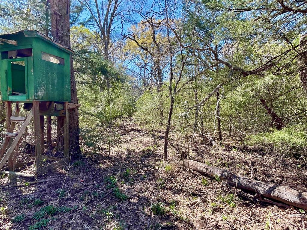 15186 County Road 459, Normangee, Texas image 17